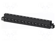 Connector: pluggable terminal block; plug; female; 12A; 300V; PA66 AMPHENOL ANYTEK