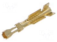 Contact; female; AMPMODU MOD IV; 0.12÷0.15mm2; 26AWG; bulk; 2.54mm TE Connectivity