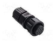 Connector: circular; plug; size B; female; PIN: 3; bayonet; 10A; IP67 AMPHENOL LTW