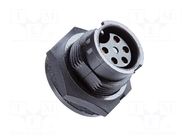 Connector: circular; socket; size B; female; PIN: 3; bayonet; 10A AMPHENOL LTW