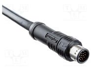 Connector: M12; plug; PIN: 17; male; A code-DeviceNet / CANopen; 1m AMPHENOL LTW