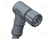 Connector: M8; plug; female; angled; cables; -20÷80°C; IP67; PIN: 4 AMPHENOL LTW