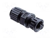 connector AD-03BFFA-LL7001 AMPHENOL LTW