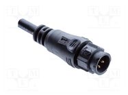 connector BB-02AMMM-QL8E01 AMPHENOL LTW