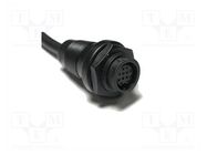 connector BB-03PMFM-LL7A01 AMPHENOL LTW