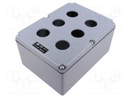 Enclosure: for remote controller; IP65; X: 152mm; Y: 205mm; Z: 102mm ILME