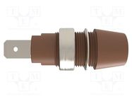 Connector: 4mm banana; socket; 32A; 1kV; brown; nickel plated; 41mm SCHÜTZINGER