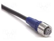 Cable: for sensors/automation; M12; PIN: 4; straight; 10m; plug OMRON