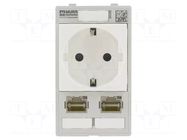 Panel interface; MODLINK MSDD MURRELEKTRONIK