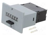 Counter: electromechanical; pulses; 999999; Resetting: manual KÜBLER