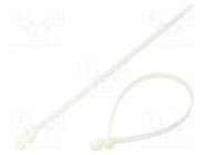 Cable tie; with fixing lugs; L: 305mm; W: 7.6mm; polyamide; 550N BM GROUP