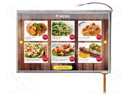 Display: TFT; 10.1"; 1280x800; Illumin: LED; Dim: 230.56x155.01x9mm RAYSTAR OPTRONICS