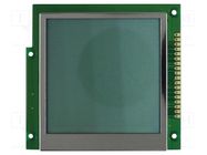 Display: LCD; graphical; 160x160; COG,FSTN Positive; LED; PIN: 18 RAYSTAR OPTRONICS