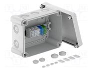 Enclosure: junction box; X: 191mm; Y: 241mm; Z: 126mm; polycarbonate OBO BETTERMANN