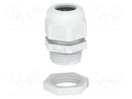Cable gland; M40; 1.5; IP68; polyamide; light grey; V-TEC VM OBO BETTERMANN