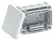 Enclosure: junction box; X: 117mm; Y: 151mm; Z: 67mm; IP66; T 100 OBO BETTERMANN
