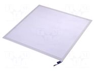 Lamp: LED light panel; 230VAC; 36W; white; 120°; 4000K; CRImin: 80 TOSHIBA LED LIGHTING
