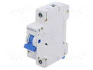 Circuit breaker; 230/400VAC; Inom: 4A; Poles: 1; Charact: C; 6kA HONGFA RELAY