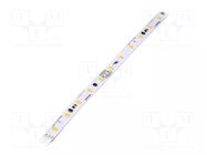 LED tape; 8mm; 3.79W/m; CRImin: 80; 24VDC; 132lm/W PHILIPS
