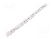 LED tape; 12mm; IP67; 3.85W/m; CRImin: 80; 24VDC; 130lm/W PHILIPS