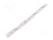 LED tape; 12mm; IP67; 3.85W/m; CRImin: 80; 24VDC; 130lm/W PHILIPS