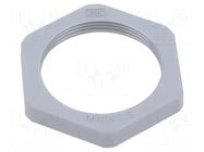 Nut; M40; polyamide OBO BETTERMANN