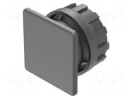 Plug; 22mm; OptoHiT; Ø22.5mm; black; plastic; Face dim: 30x30mm EAO