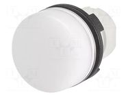 Control lamp; 22mm; 46; -25÷55°C; Ø22.3mm; IP65; white; Kind: flat EAO