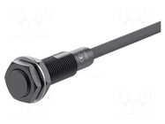 Sensor: inductive; OUT: PNP / NO; 3mm; 10÷30VDC; M12; IP66; 100mA AUTONICS