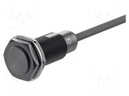 Sensor: inductive; OUT: PNP / NO; 7mm; 10÷30VDC; M18; IP66; 100mA AUTONICS