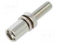 Fixation screw; DH HIROSE