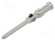 Contact; male; copper alloy; silver plated; 0.75mm2; 18AWG; 10A ILME