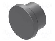 Plug; 22mm; OptoHiT; Ø22.5mm; black; plastic; Face dim: Ø28mm EAO