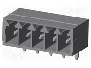 Connector: pluggable terminal block; socket; male; OQ; PIN: 5; THT AMPHENOL ANYTEK