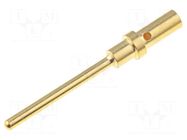 Contact; male; 20; ATM; gold flash; 22AWG÷20AWG; turned contacts AMPHENOL