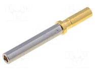 Contact; female; 20; gold flash; 22AWG÷20AWG; turned contacts AMPHENOL