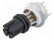 Connector: M12; 876; 500mA; IP67; THT; Contacts: bronze; zinc alloy BINDER