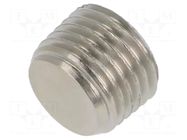 Accessories: screw plug; R 1/4" external; nickel plated brass PNEUMAT