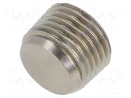 Accessories: screw plug; R 1/8" external; nickel plated brass PNEUMAT