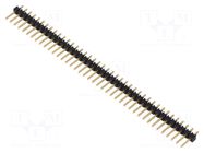 Connector: pin strips; pin header; male; PIN: 40; straight; THT SAMTEC