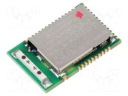 Module: Bluetooth Low Energy; Chip; GPIO,UART; SMD; 2Mbps; 2400MHz RAYTAC