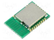 Module: Bluetooth Low Energy; PCB; ADC,GPIO,I2C,SPI,UART; SMD RAYTAC