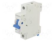Circuit breaker; 230/400VAC; Inom: 6A; Poles: 1; Charact: B; 6kA HONGFA RELAY