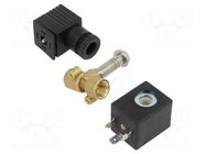 Electromagnetic valve; G 1/4"; brass; FKM; Valve: 2/2 NC; 230VAC AIGNEP