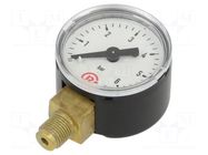 Manometer; 0÷6bar; G 1/8",bottom connection; 40mm; Temp: -20÷60°C PNEUMAT