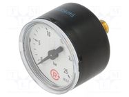 Manometer; 0÷25bar; G 1/8",rear connection; 40mm; Temp: -20÷60°C PNEUMAT