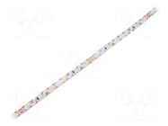 LED tape; white cold; 2835; LED/m: 60; 6mm; white PCB; IP20; 120° IPIXEL LED