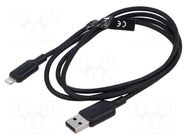 Cable; USB 2.0; Apple Lightning plug,USB A plug; nickel plated VENTION