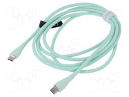 Cable; USB 2.0; USB C plug,both sides; nickel plated; 2m; green VENTION
