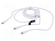 Cable; USB 2.0; USB C plug,USB C plug x2; nickel plated; 1.5m VENTION